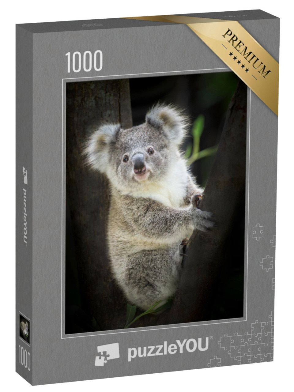 Puzzle 1000 pezzi „Koala allo zoo“