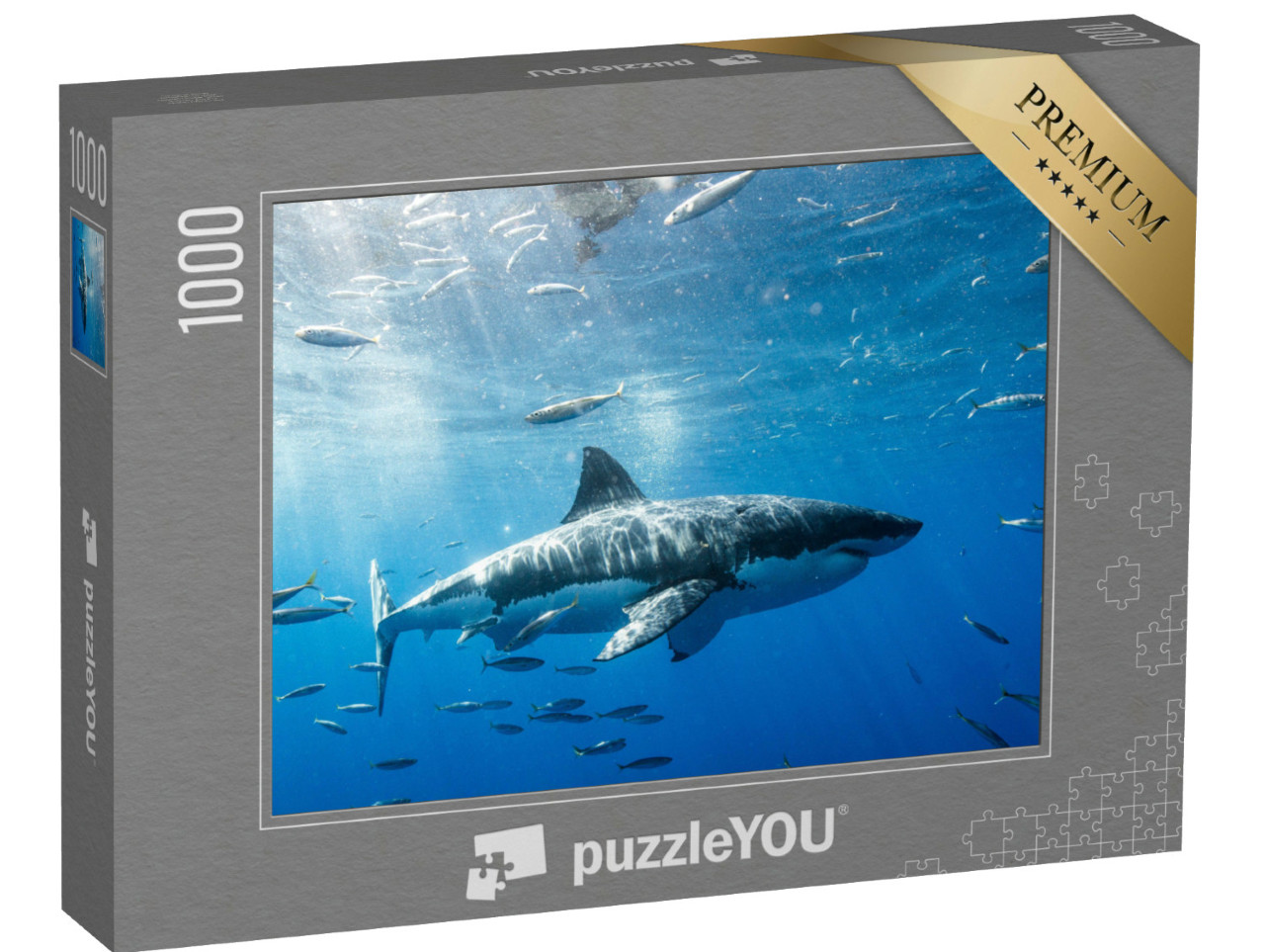 Puzzle 1000 pezzi „Squalo bianco in Messico“