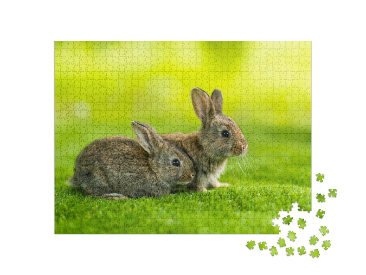 Puzzle 1000 pezzi „Due coniglietti nel prato“