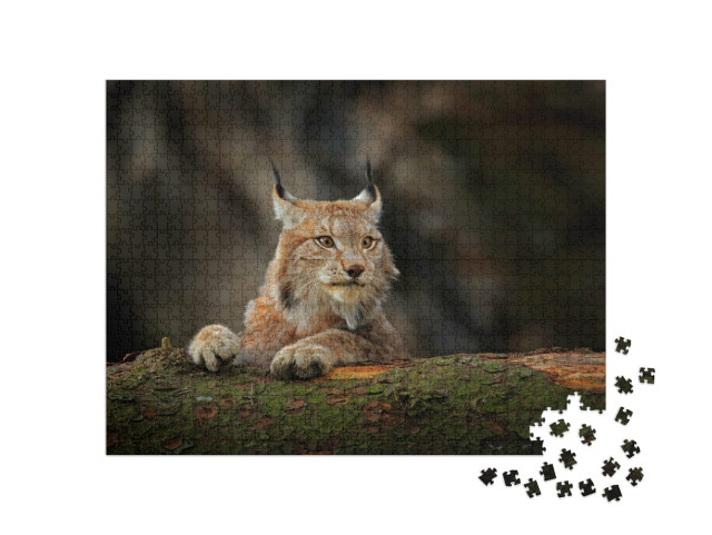 Puzzle 1000 pezzi „Una lince attenta nella foresta“