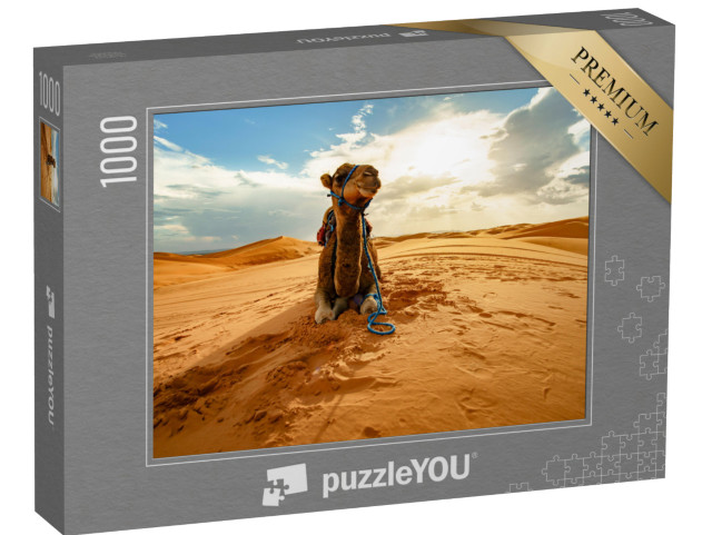 Puzzle 1000 pezzi „Cammello a riposo nel Sahara, Marocco“