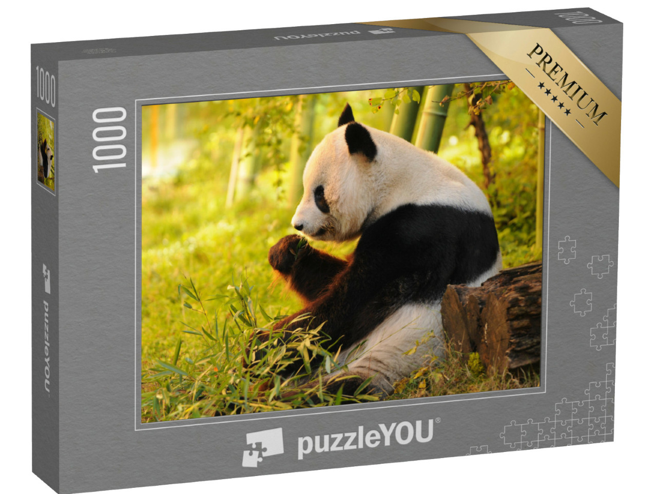 Puzzle 1000 pezzi „Il panda gigante mangia il bambù“