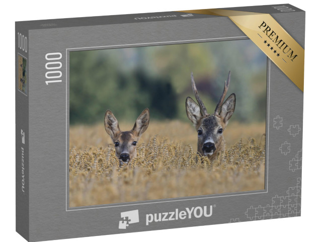 Puzzle 1000 pezzi „Due cervi in un campo di grano“