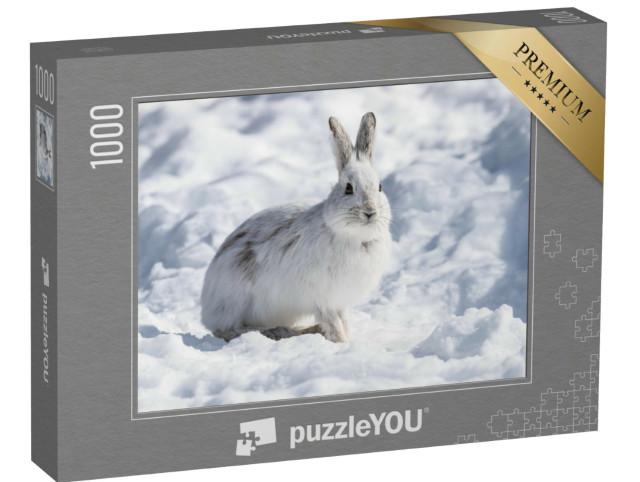 Puzzle 1000 pezzi „Lepre bianca in inverno“