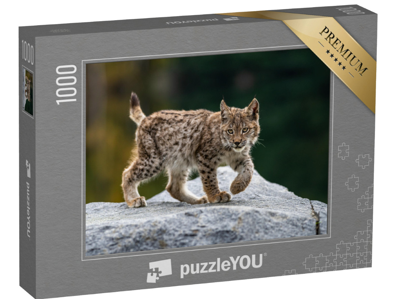 Puzzle 1000 pezzi „Giovane lince attenta“