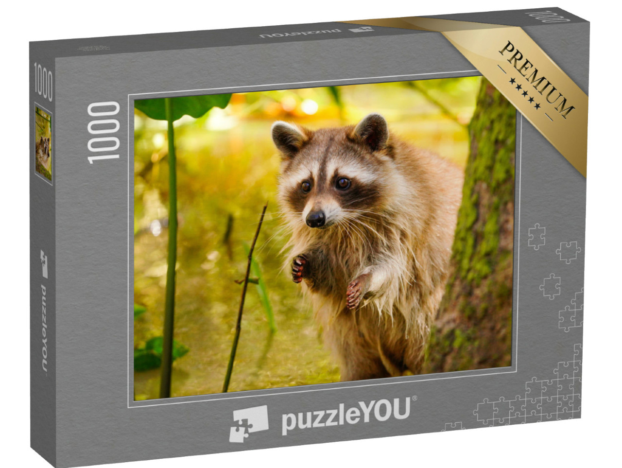 Puzzle 1000 pezzi „Raro procione biondo in una palude della Louisiana“