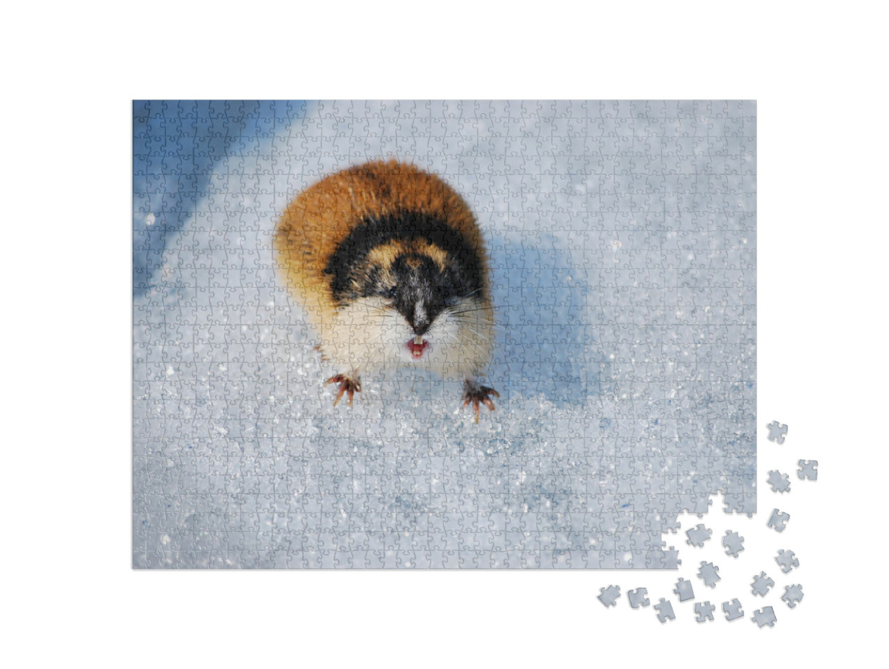 Puzzle 1000 pezzi „Un simpatico lemming sulla neve mostra i denti“