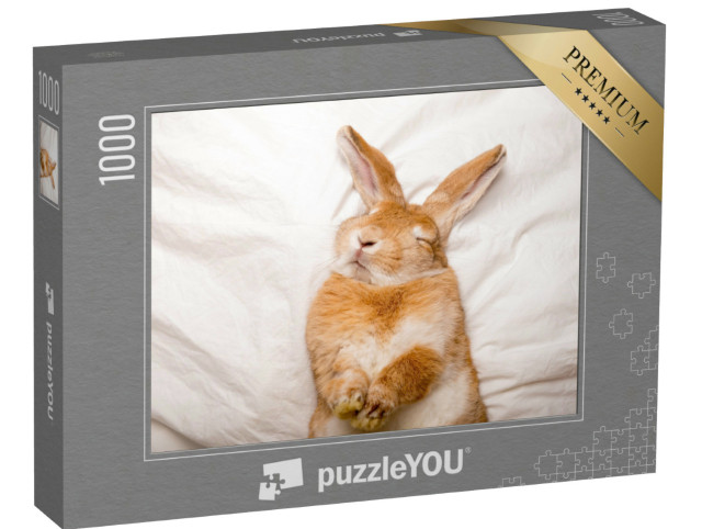 Puzzle 1000 pezzi „Coniglio sognante in un sonno accogliente“