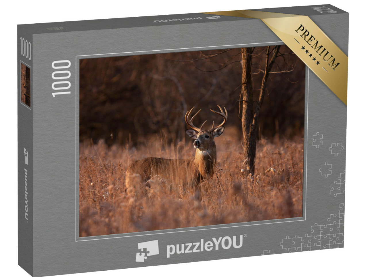 Puzzle 1000 pezzi „Cervo dalla coda bianca durante la stagione degli amori, Ottawa, Canada“