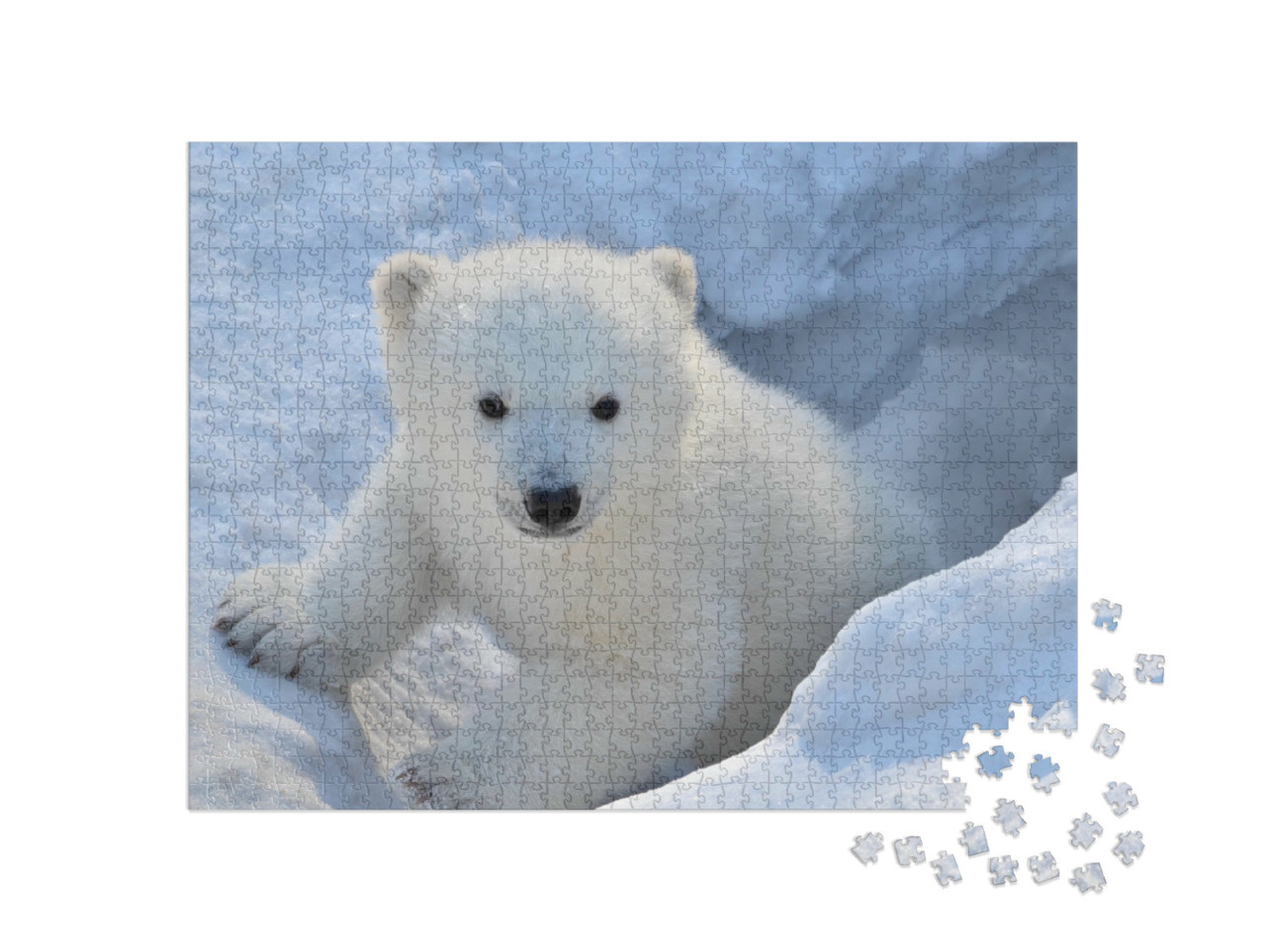 Puzzle 1000 pezzi „Ritratto di un orso bianco“