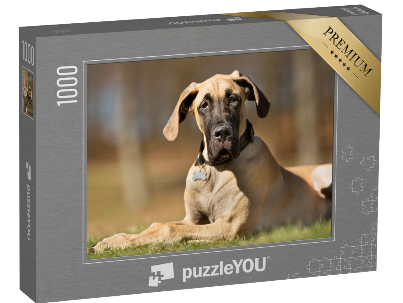 Puzzle 1000 pezzi „Un alano di razza pura senza guinzaglio nella natura“